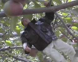 Hang in there Bob