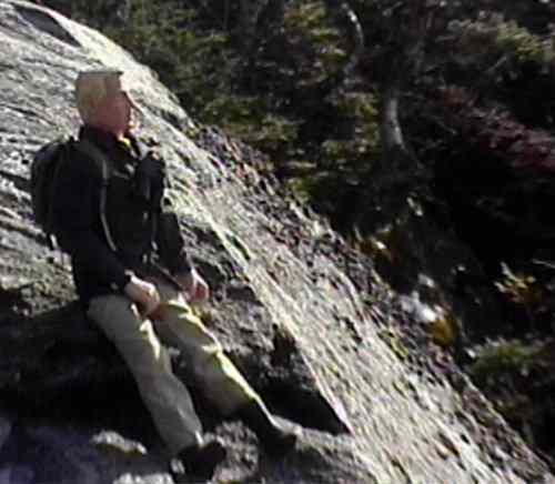 Rest Stop Below the Tree Line
