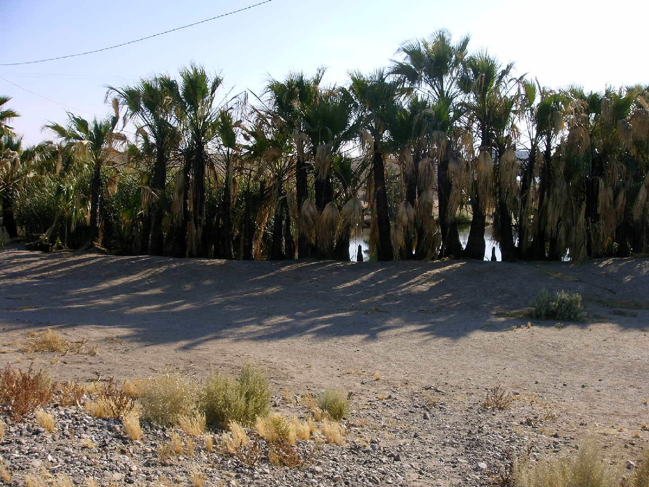 The Hot Springs Oasis off Hwy 8 east of 115N go on Evan Hewes Hwy. 