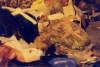 garbage cat