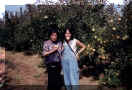 Applepicking summer 99 Huizhong Li.JPG (70437 bytes)