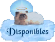 Disponibles