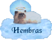 Hembras