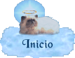 Inicio