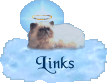 Links