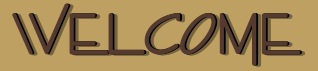 aowel.jpg (7455 bytes)
