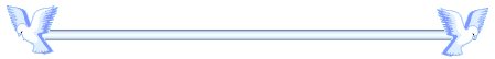 fleshbar.jpg (4168 bytes)