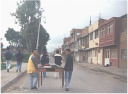 todos de regreso a casa con los trastes