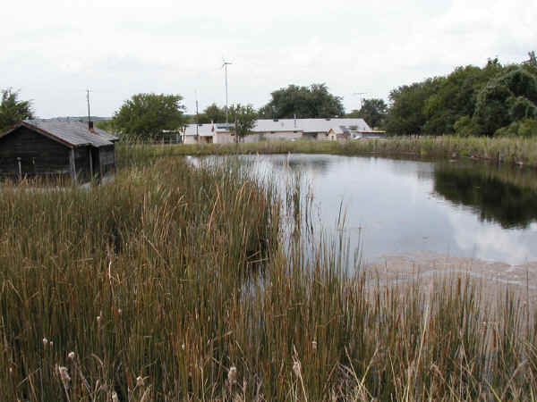 View across pond from back of property