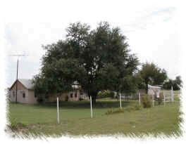 View from road
