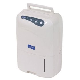 Portable Dehumidifiers