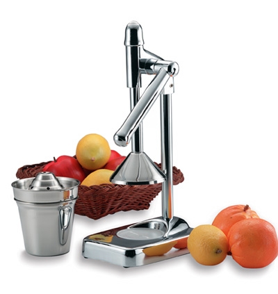 Stainless Steel Juicer