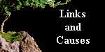 Links and Causes