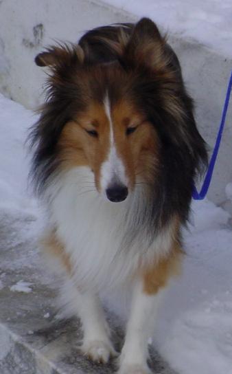 Kiera......photo taken by Jessica Hindman
