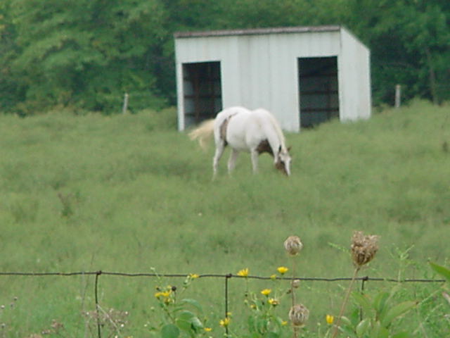 Photo taken by Jessica Hindman.