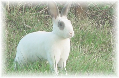 Noel..............photo taken by Jessica Hindman