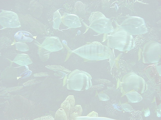 Photo taken by Jessica Hindman