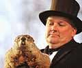 Wiarton Willie CP