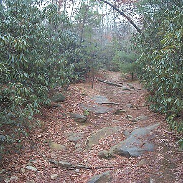 Big Rock Trail