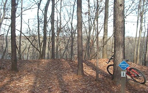 Harbison Bluffs Lookout