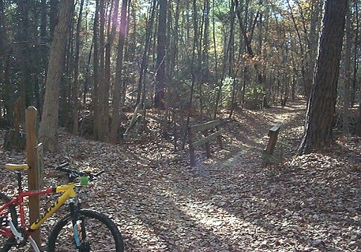 Stewardship Trail Intersection
