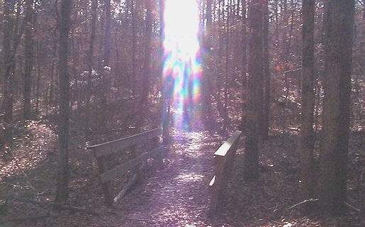 Firebreak Trail East Loop