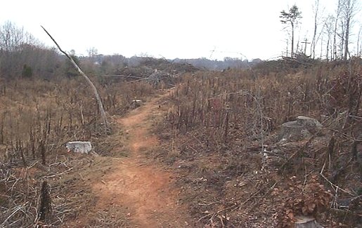 Beaver Dam trail