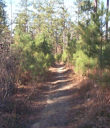 Stewardship Trail