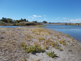 Photo by Ron Duquette, owner of this site. Copyright &copy; 2016. Point where the Gallatin River joins the Missouri River near Boseman, Montana