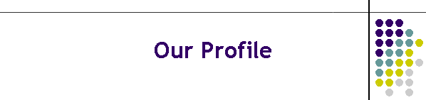 Our Profile