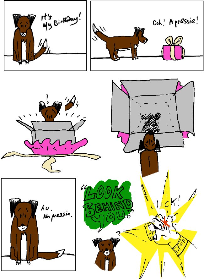 Hondle's birthday is November 5th.