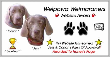 weimaraners award