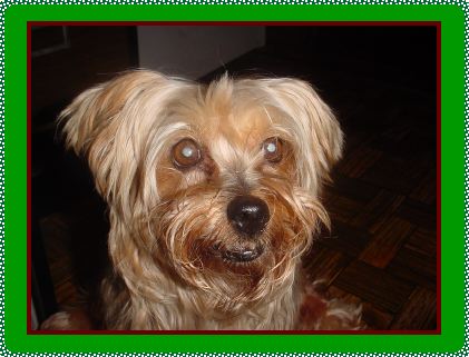 Honey Smiling