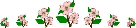 Dogwood Border