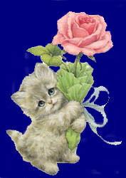 kitten holding a flower