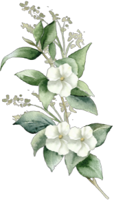 watercolor flowers