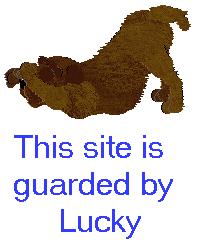 I'll be a good guardian- I promise!