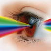 fujitsu MCU eye ad