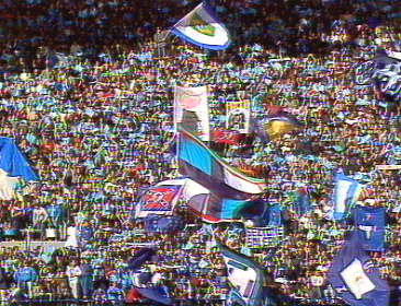 napoli tifosi.jpg (37630 bytes)