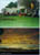 morning_sunrise_group