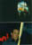 2rth_dj_tim