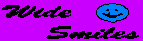 Wide Smiles logo...www.widesmiles.org