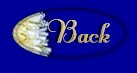 Go Back to First Page of Site