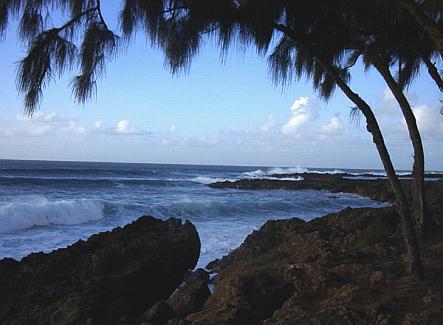 A Beach at Kaneohe