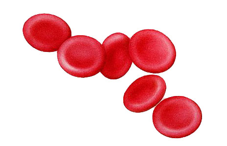 blood