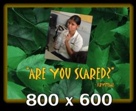 "Are You Scared?" - Krystelle