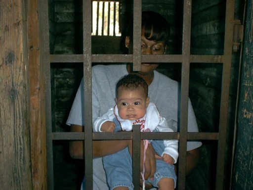trip08