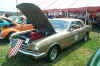 mustang.jpg (41796 bytes)