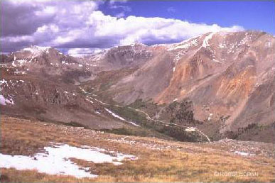 Mt. Democrat