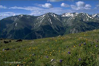 Mt. Oxford